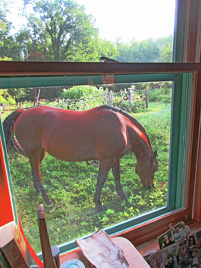 View From The Farm House Window by Patricia Keller View From The Farm House Window by Patricia Keller