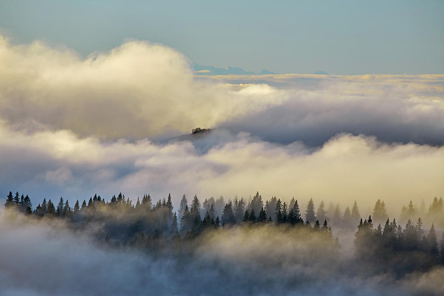View From The Feldberg To A Sea Of Fog, Southern Black Forest, Black Forest, Baden-wuerttemberg, Germany, Europe Photograph by Brigitte Merz