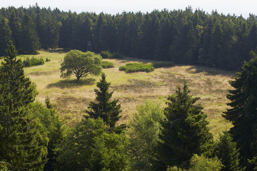 View From The Idarturm To Hochmoor, Idarwald, Idarkopf, Hunsrueck, Naturpark Saar-hunsrueck, Rhineland-palatinate, Germany, Europe Photograph by Brigitte Merz