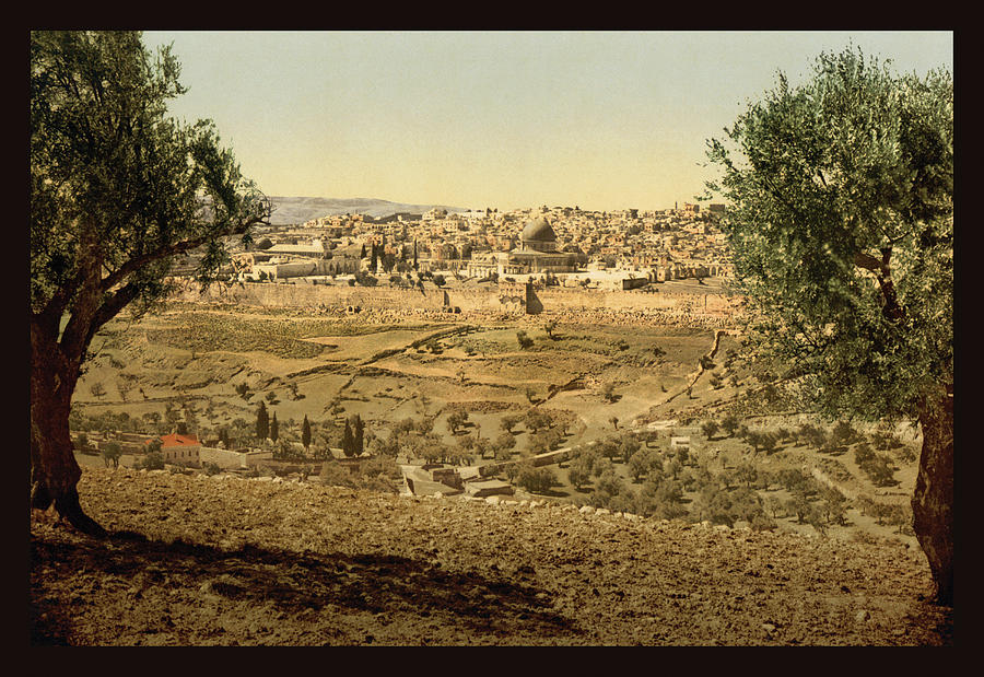 View from the Mount of Olives Painting by Detroit photographic Company