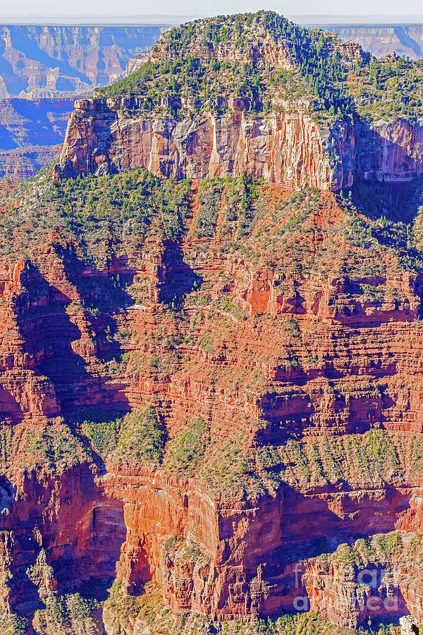 View From The North Rim Of The Grand Canyon Photograph