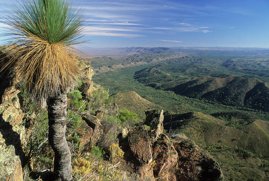 View From The Top Of St. Mary Peak Over The Abc Range, Flinders Ranges, South Australia, Australia Photograph by Don Fuchs