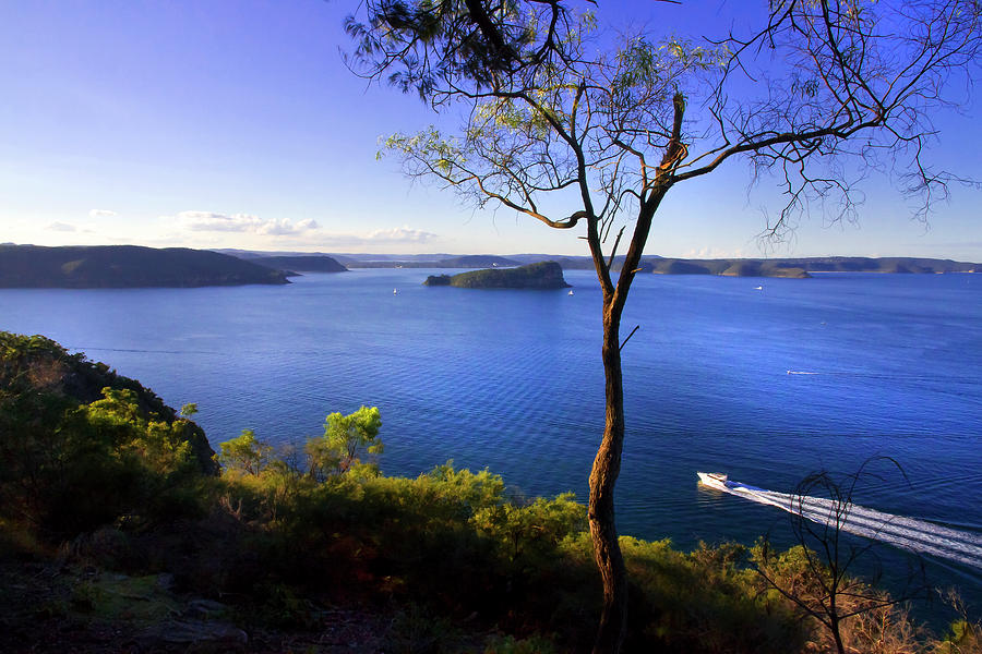 View From West Head Sydney Photograph By Miroslava Jurcik
