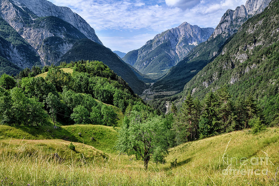 Summer Meadows In The Predil Pass Photograph