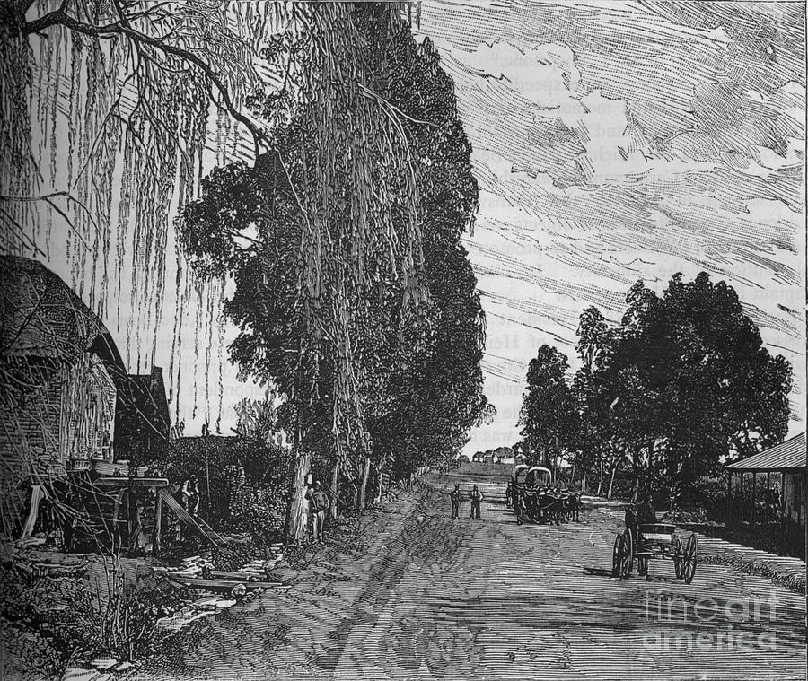 View Near Pretoria Drawing by Print Collector