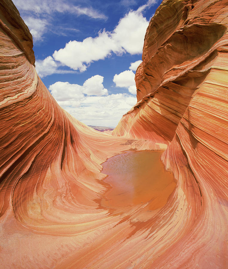 View Of A Canyon, The Wave, Navajo Photograph by Panoramic Images