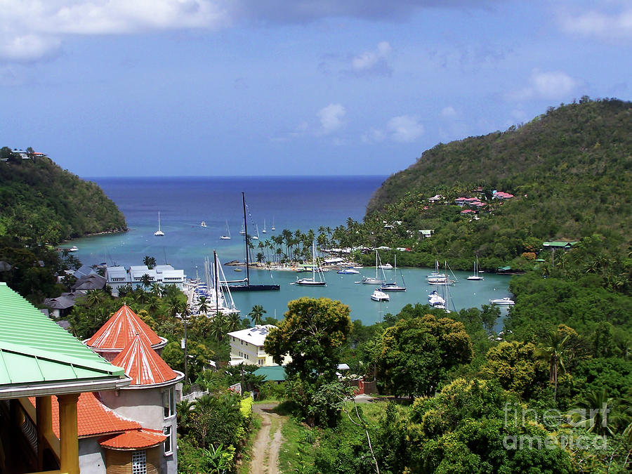 View of a marina in St-Thomas, Virgin Islands Photograph by Celine ...