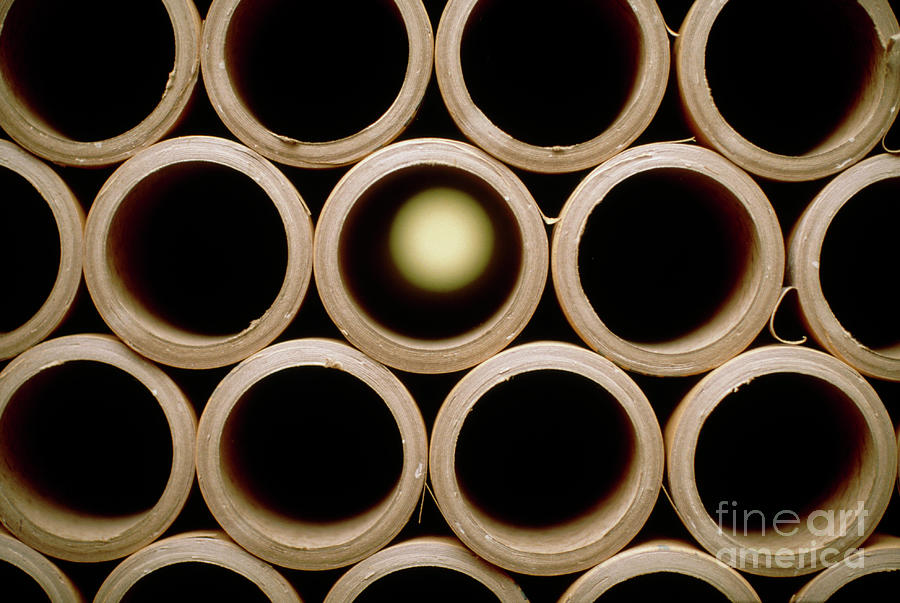 View Of A Stack Of Cardboard Tubes Photograph by Geoff Tompkinson/science Photo Library