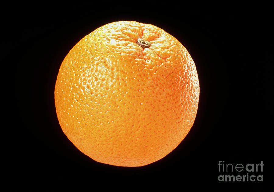 View Of An Orange Photograph by Science Pictures Limited/science Photo Library