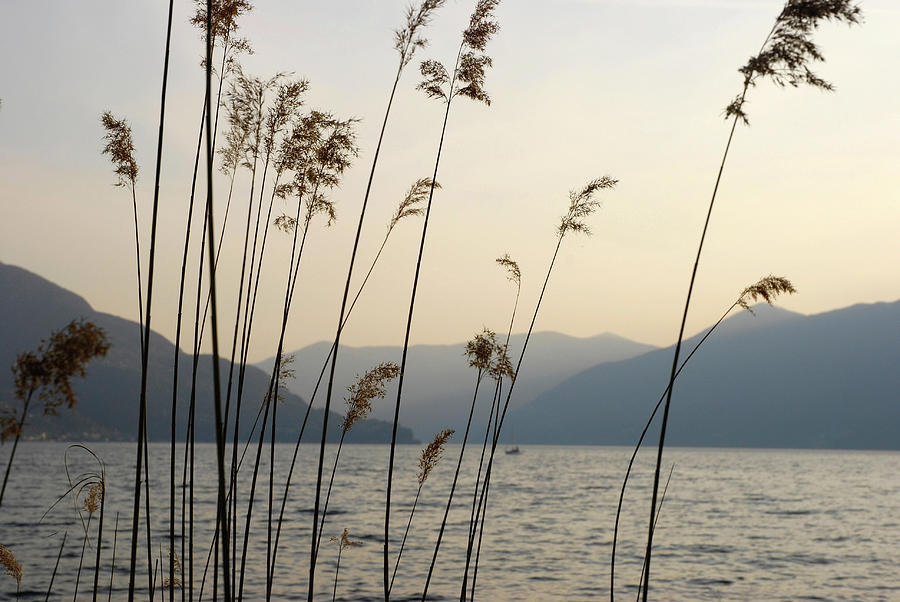View Of Ascona Mountain Range And Lake At Dusk In Ticino, Switzerland Photograph by Jalag / Jonas Morgenthaler