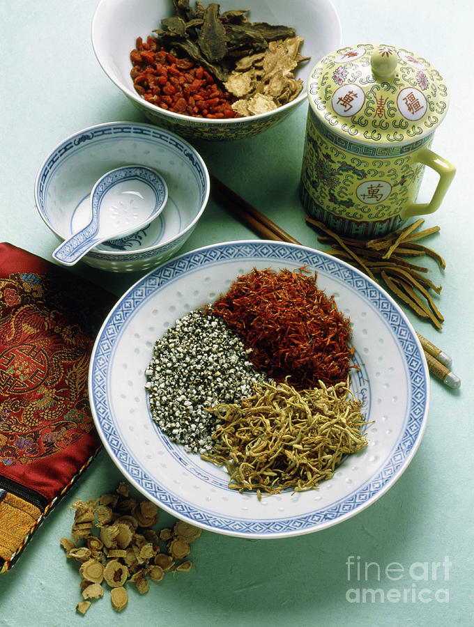 View Of Assorted Herbs Used In Chinese Medicine Photograph by Erika Craddock/science Photo Library