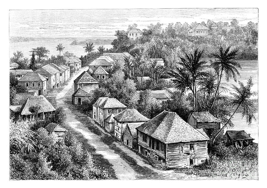 View Of Basse-terre, Guadeloupe, C1890 By Print Collector