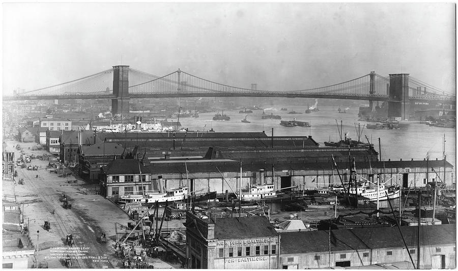 View Of Bridges Photograph by The New York Historical Society