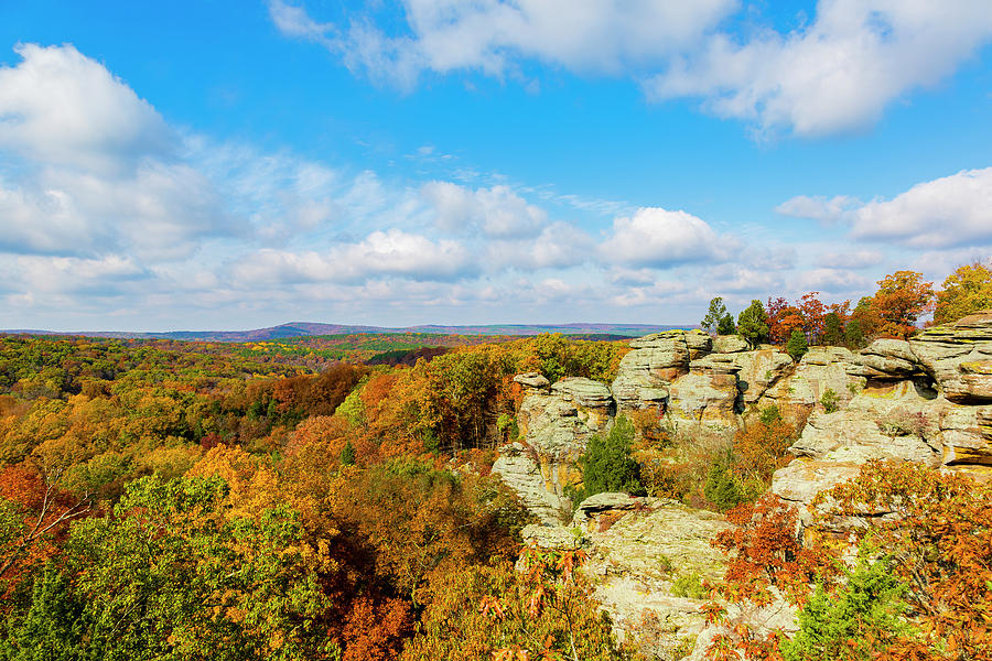 View Of Camel Rock And Forest, Garden Photograph by Panoramic Images ...