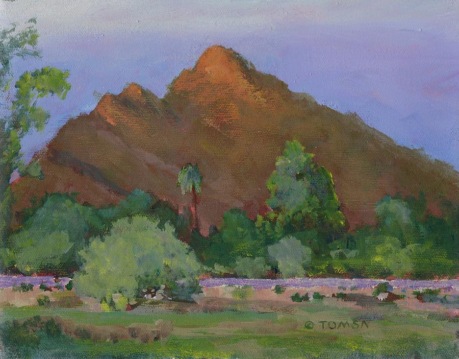 View of Camelback Mountain Painting by Bill Tomsa