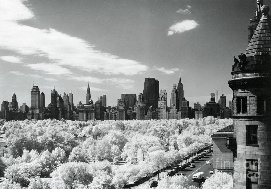 View Of Central Park, New York City Photograph by Bettmann