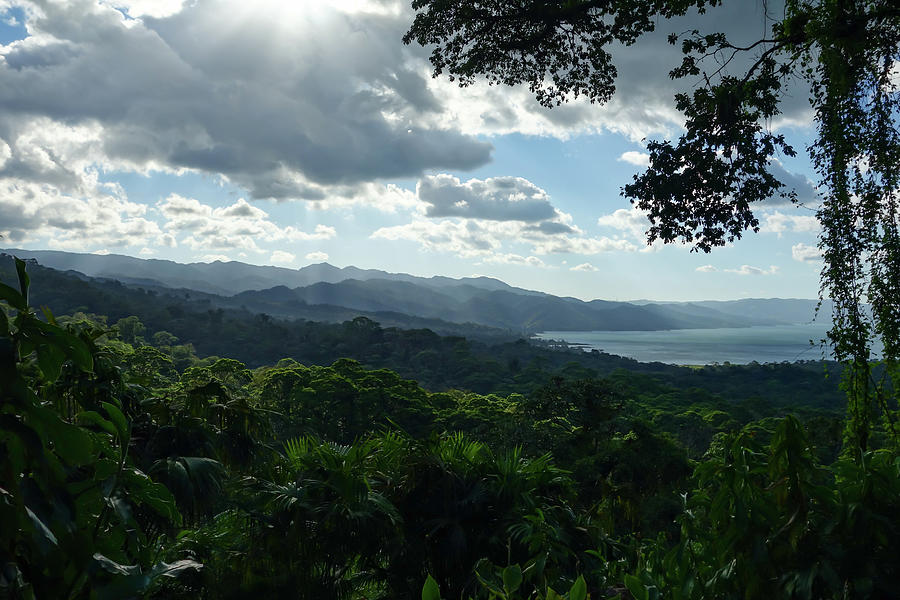 View Of Cloudforest And Lake Arenal Photograph