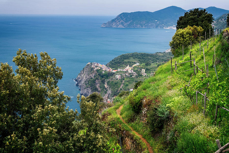 View Of Corniglia Cinque Terre Italy II Photograph