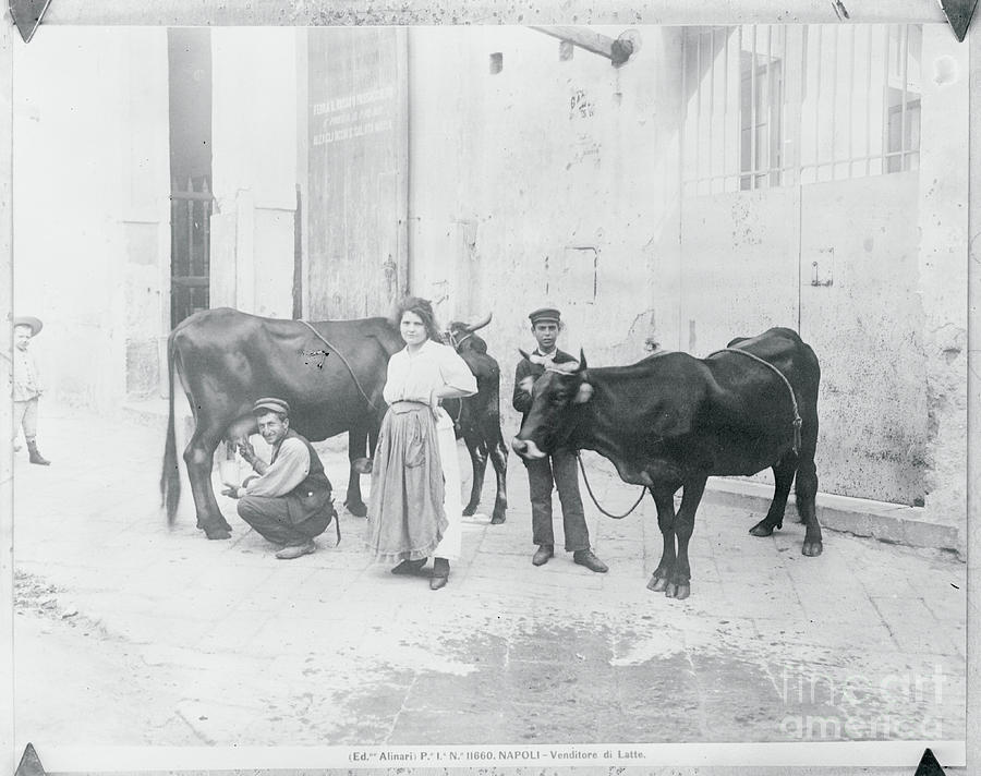 View Of Family During Cow Milking Photograph by Bettmann