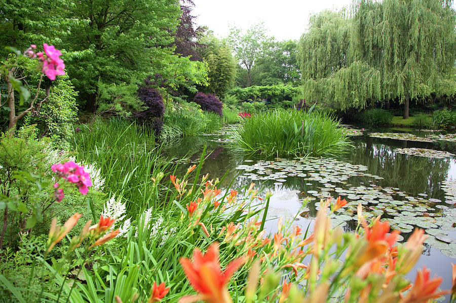 View Of Garden Pond Photograph by Grant Faint