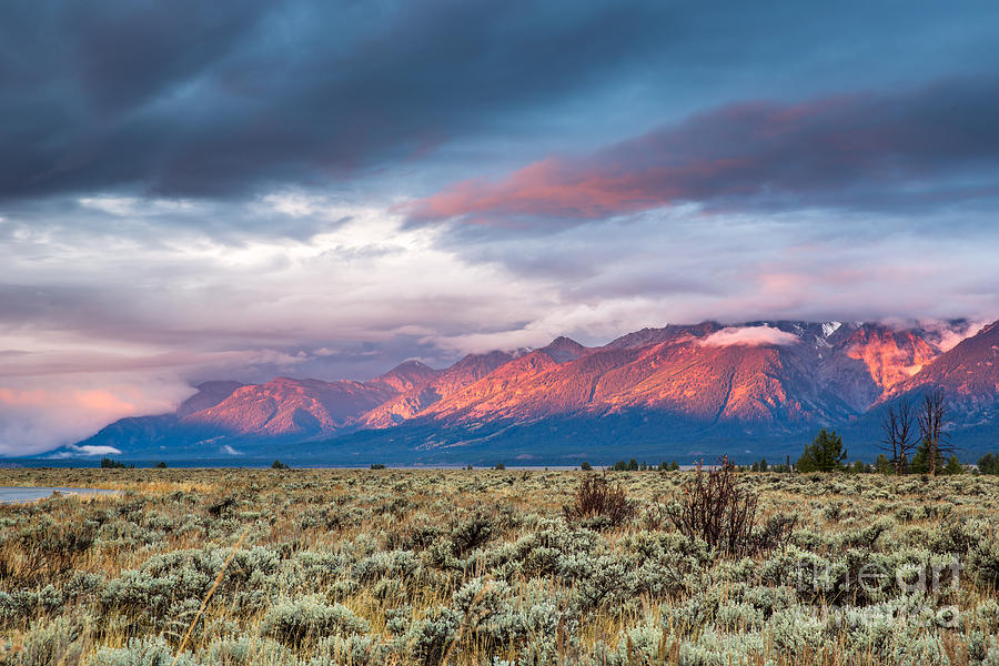 Sunrise Photograph - View Of Grand Teton Mountain Range At by Victor Maschek Sunrise Photograph - View Of Grand Teton Mountain Range At by Victor Maschek