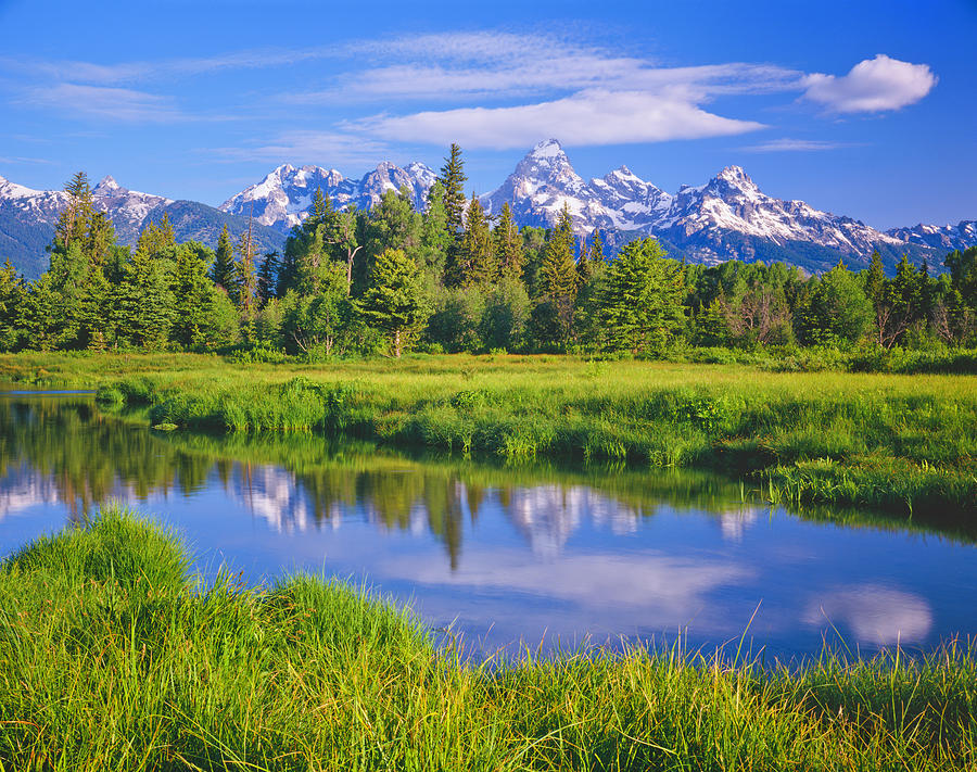View Of Grand Teton National Park From Photograph by Ron thomas