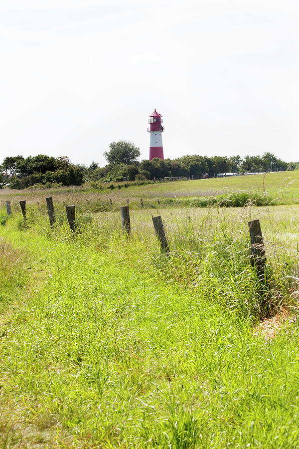 View Of Green Pasture With Falshofter Lighthouse, Schleswig-holstein, Germany Photograph by Jalag / Petra Becker