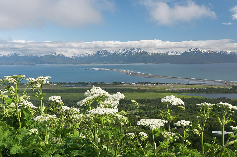 View Of Homer, Alaska Photograph by John Elk
