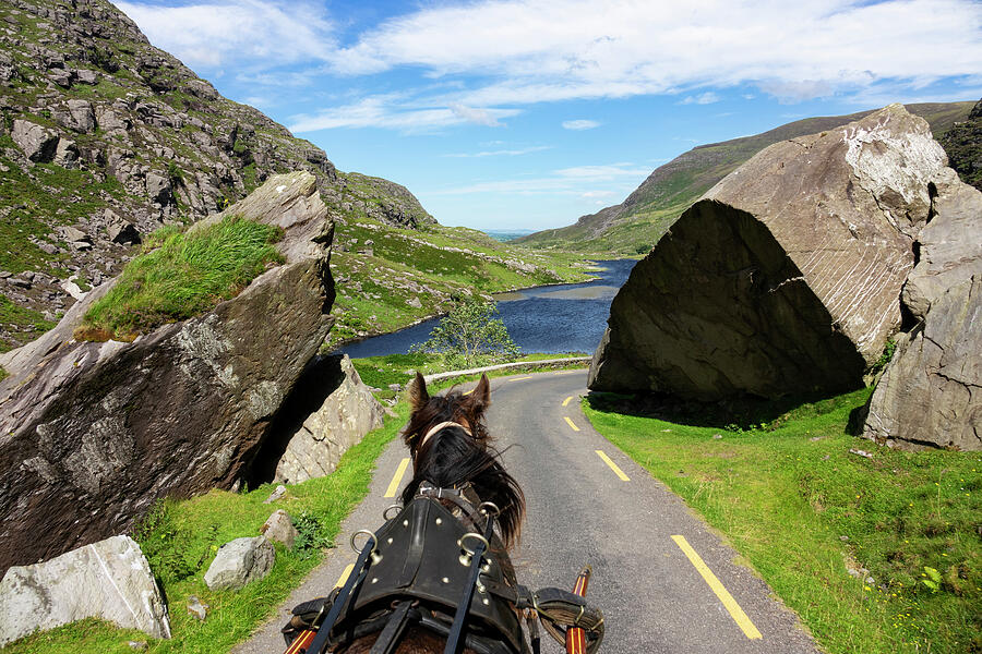 View Of Horse From Cart It Is Pulling Along Gap Of Dunloe Photograph by Konrad Wothe / Naturepl.com View Of Horse From Cart It Is Pulling Along Gap Of Dunloe Photograph by Konrad Wothe / Naturepl.com