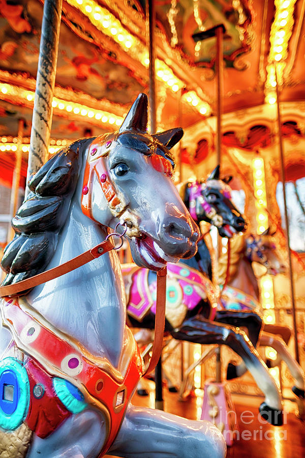 View of Horses on a Classic Carousel Photograph by George Oze