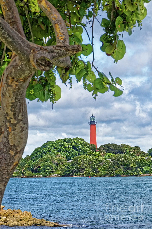 View of Jupiter Inlet Lighthouse Photograph by Jo Ann Gregg