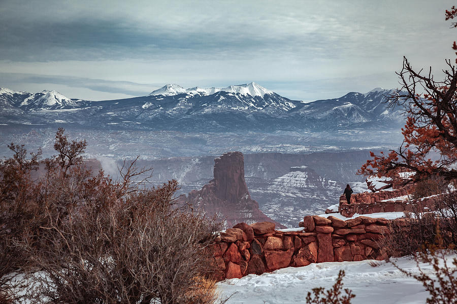 View of La Sal Mountains from Dead Horse Point, Moab, Utah Photograph by Jeanette Fellows