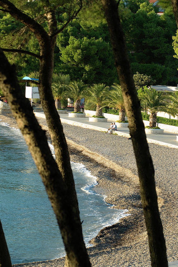 View Of Le Meridien Lav With Coastal Beach And Trees In Split, Croatia Photograph by Jalag / Pieter-pan Rupprecht