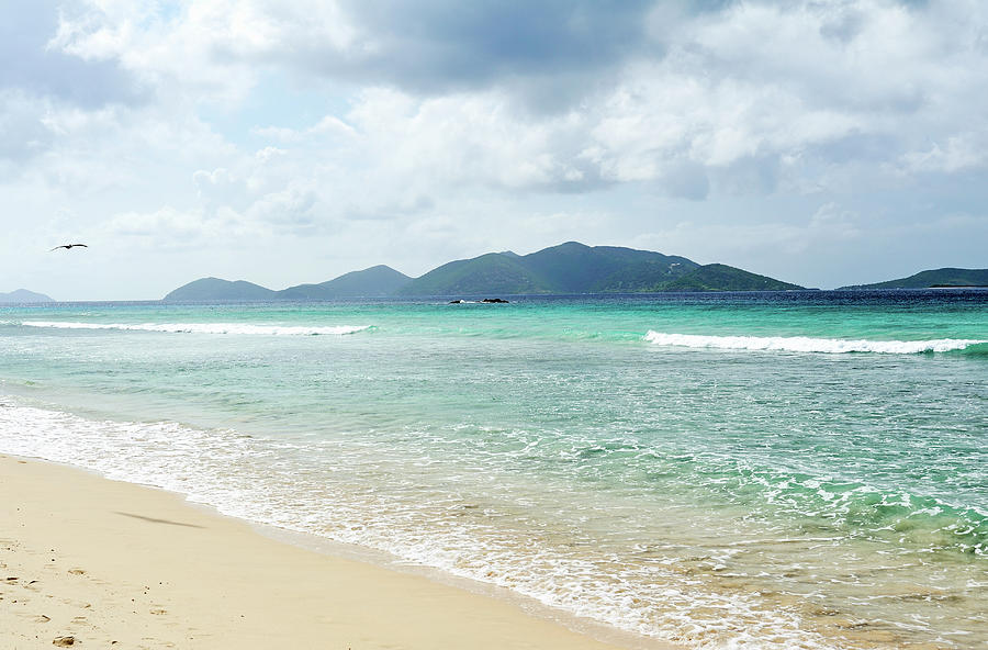 View Of Long Bay Beach by Driendl Group