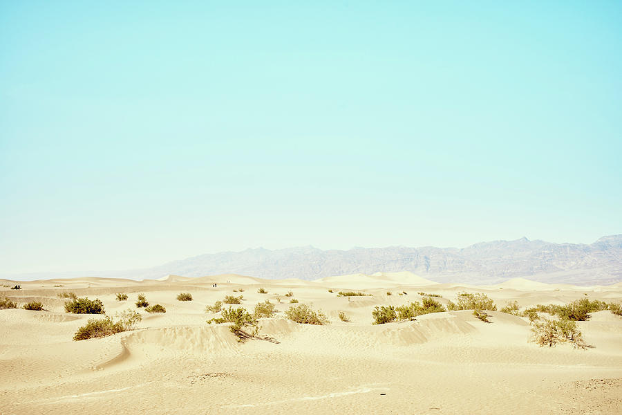 Death Valley National Park Digital Art - View Of Mesquite Dunes, Death Valley, California, Usa by Gu