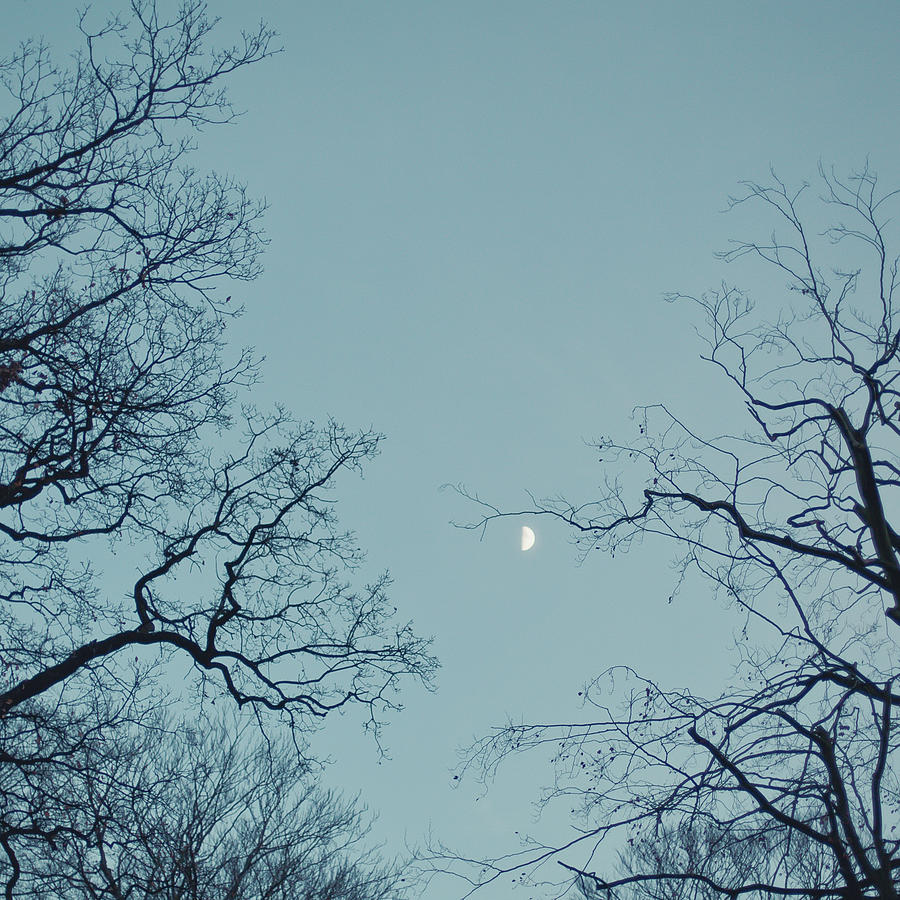 View Of Moon In Blue Sky Photograph by Cindy Prins - Fine Art America