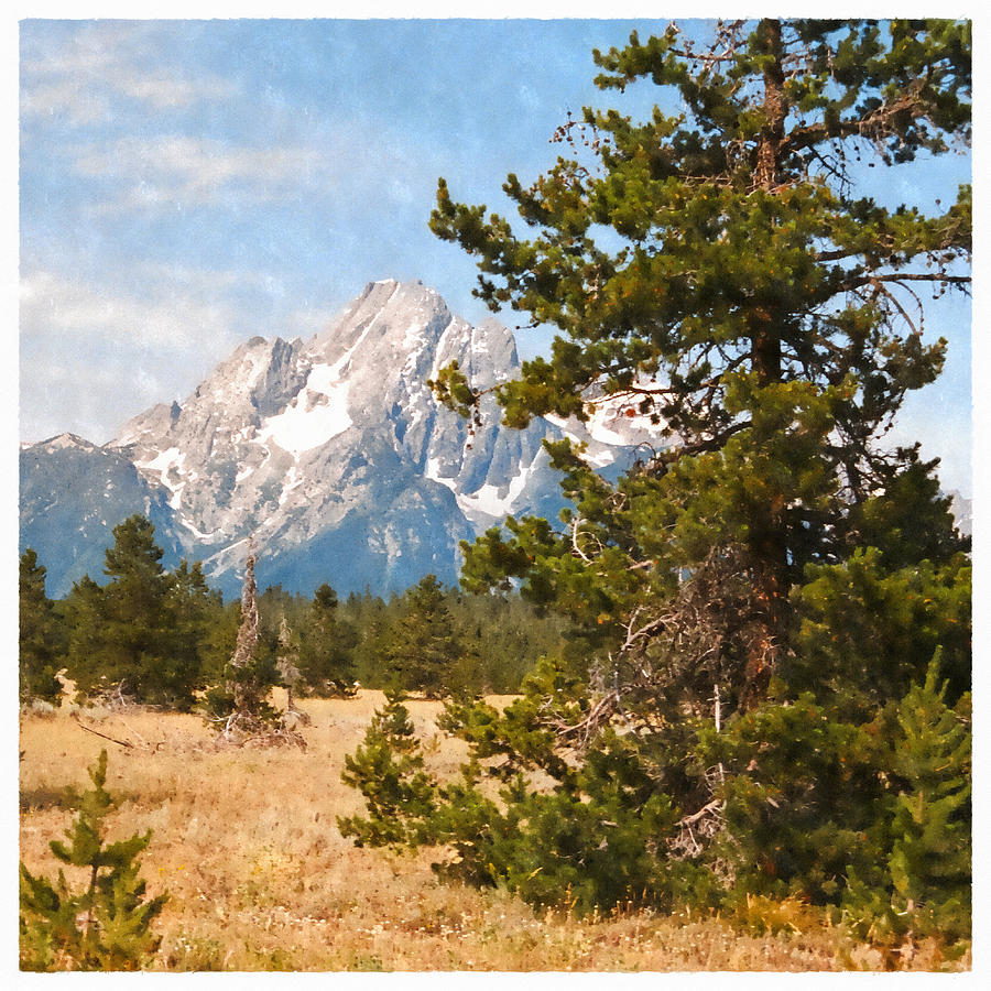 View of Mount Moran Photograph by Scott Kingery