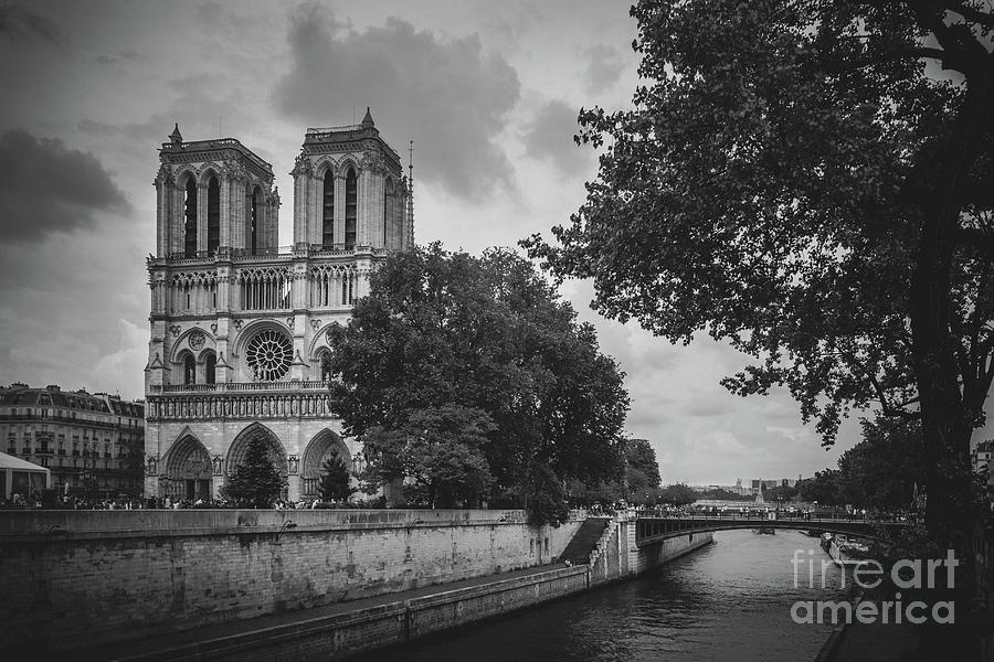 View of Notre Dame from Across the Seine River 2016 Photograph by Liesl Walsh