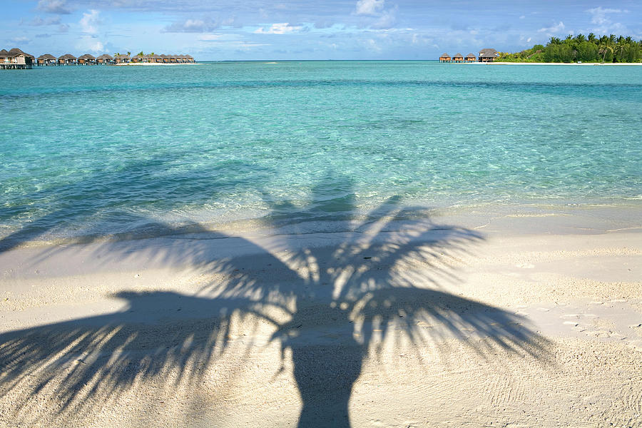 View Of Palm Tree Shadow On Veligandu Huraa, Maldives Photograph by Jalag / Sophie Henkelmann