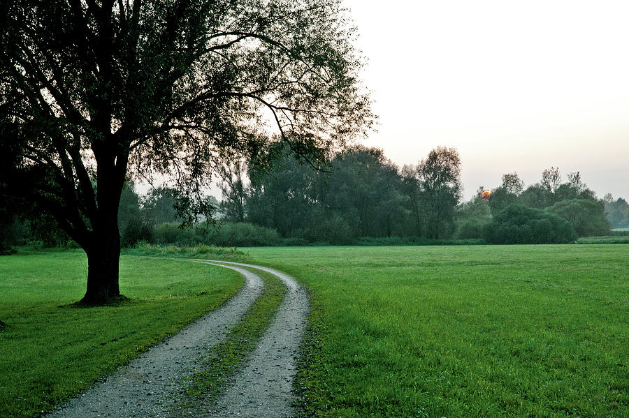 View Of Pathway With Trees And Grass Around Photograph by Jalag / Brbel Miebach