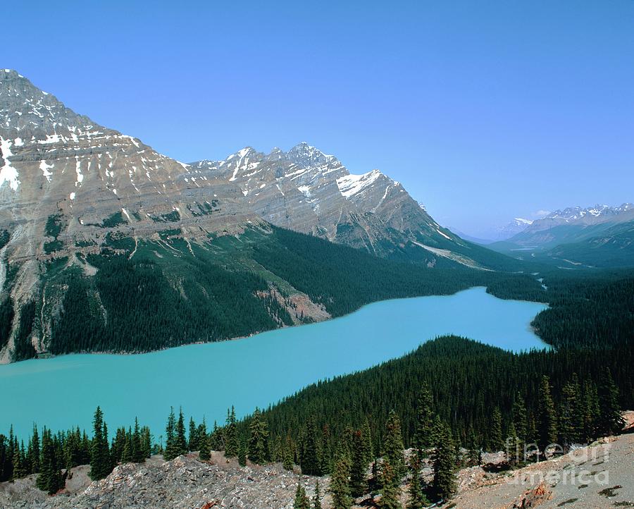 View Of Peyto Lake Photograph by John Mead/science Photo Library - Fine ...