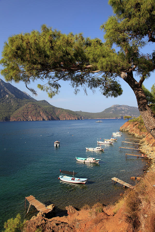View Of Pine Trees And Boats On Coats Of Adrasan Bay, Kemer, Turkey Photograph by Jalag / Walter Schmitz