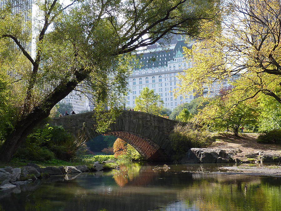 View of Plaza Hotel Central Park Photograph by Patricia Caron