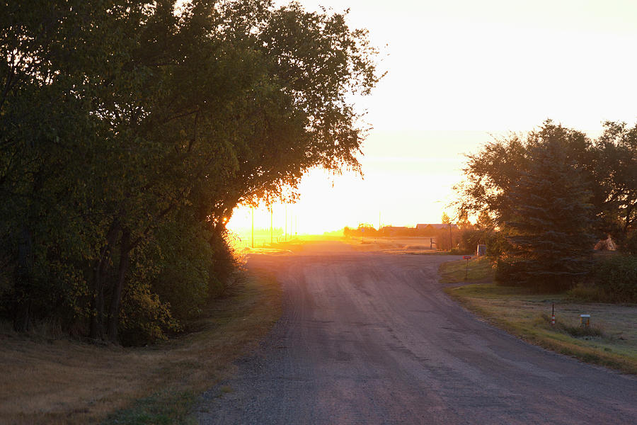 View Of Road And Trees In Moose Jaw At Morning Light, Saskatchewan, Canada Photograph by Jalag / Arthur F. Selbach