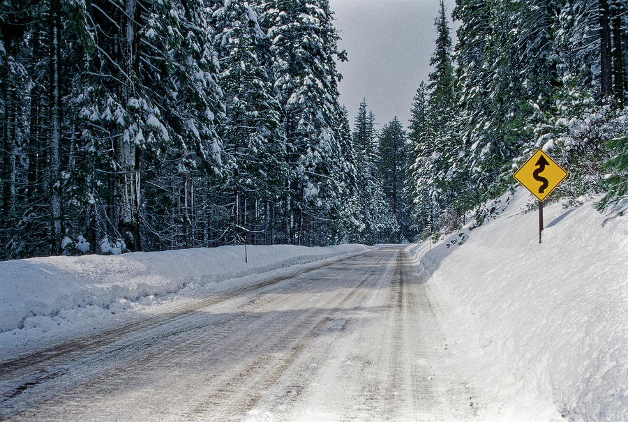 View Of Road Between Forest At Winter Photograph by Panoramic Images