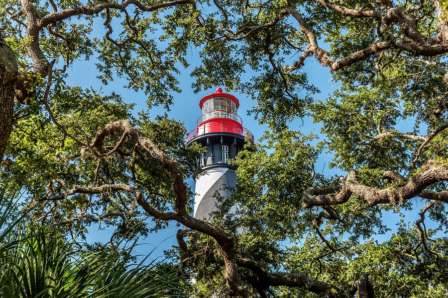 View Of Saint Augustine Lighthouse Behind Trees At Anastasia Island In Florida Photograph