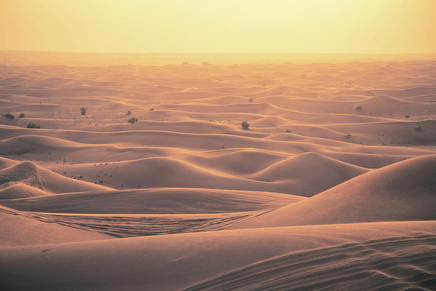 130,751 Sand Dune Stock Photos, High-Res Pictures, and Images