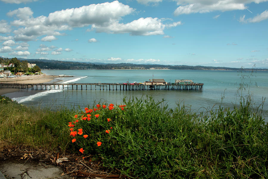 View Of Santa Cruz Beach Photograph by Ivete Basso Photography