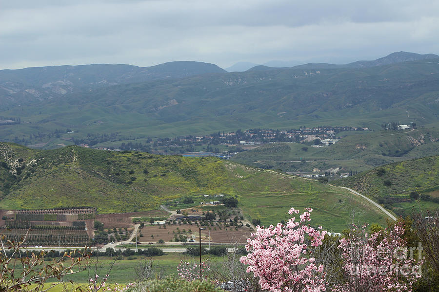 View of Simi Valley from Reagan Library Grounds 8 Photograph by Colleen Cornelius