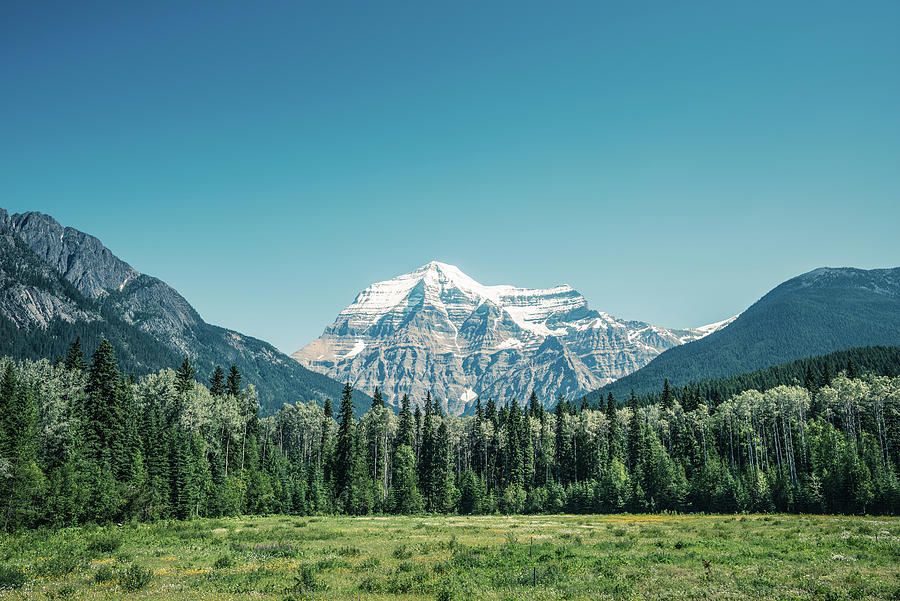 Nature Digital Art - View Of Snow Capped Mount Robson, Canadian Rockies, British Columbia, Canada by Dan Brownsword